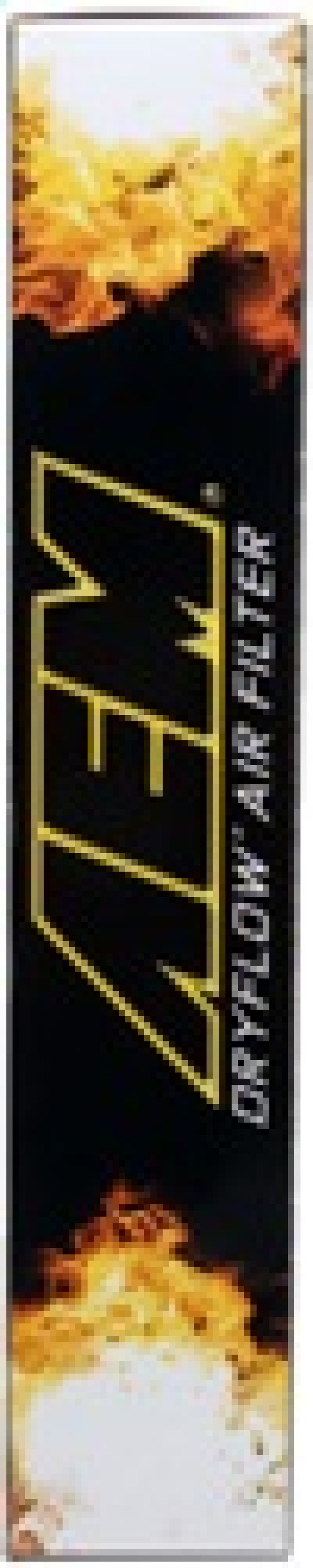 AEM 12-14 Mazda 3/6/CX-5 10.75in O/S L x 7.125in O/S W x 1.625in H DryFlow Panel Air Filter - Bull Strap