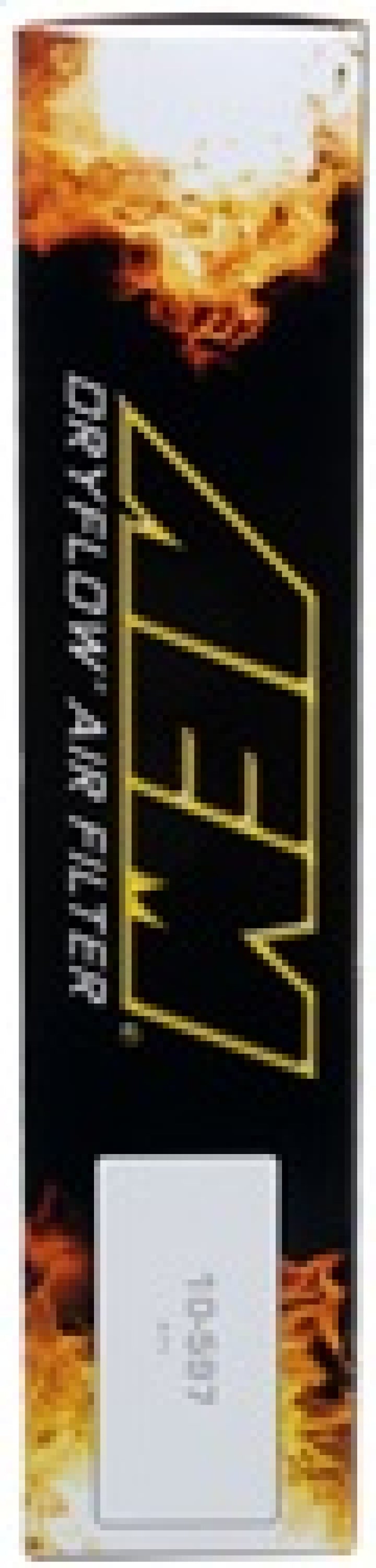 AEM 16-17 Honda Pilot V6-3.5L F/l DryFlow Air Filter - Bull Strap