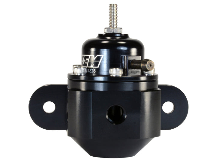 AEM Universal Black Adjustable Fuel Pressure Regulator - Bull Strap
