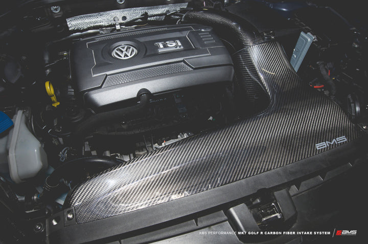 AMS Performance 2015+ VW Golf R MK7 Carbon Fiber Intake - Bull Strap