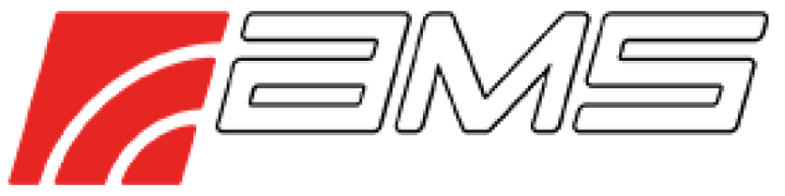 AMS Performance 2015+ VW Golf R MK7 Carbon Fiber Intake - Bull Strap