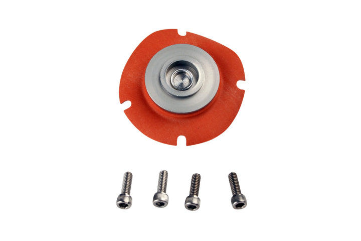 Aeromotive Regulator Repair Kit (for 13202/13113/13209/13214/13212) - Bull Strap