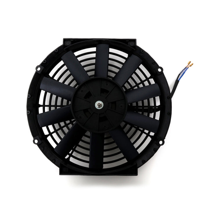 BLOX Racing 10inch Electric Slim Fan - Black - Bull Strap