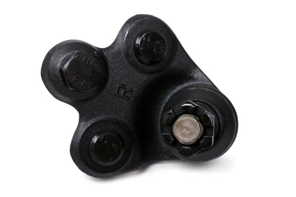 BLOX Racing Roll Center Adjusters / Extended Front Ball Joints - 06-11 Honda Civic (Pair) - Bull Strap