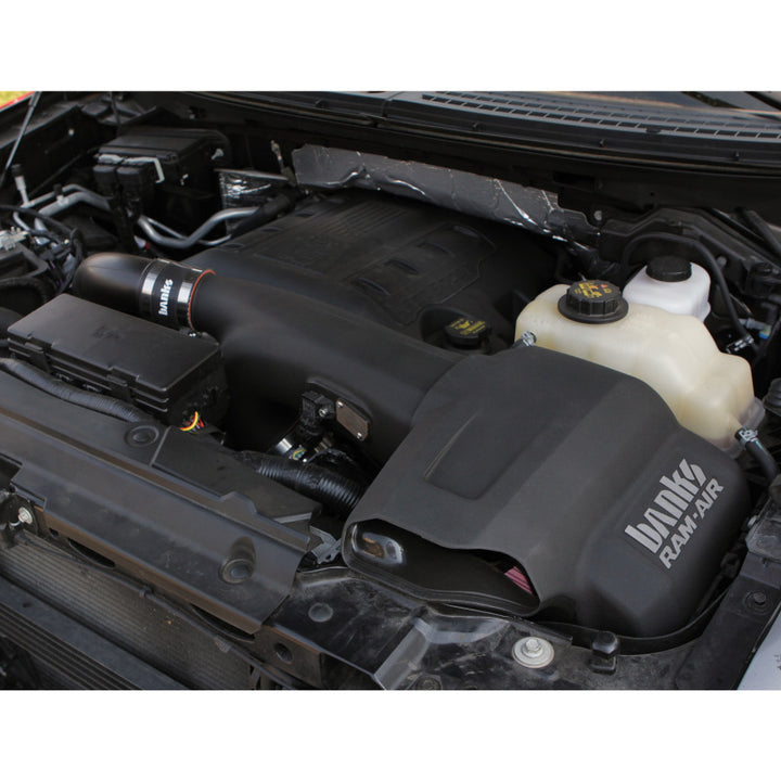Banks Power 11-14 Ford F-150 3.5L EcoBoost Ram-Air Intake System - Bull Strap
