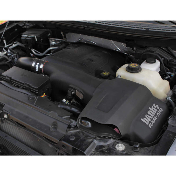 Banks Power 11-14 Ford F-150 3.5L EcoBoost Ram-Air Intake System - Bull Strap