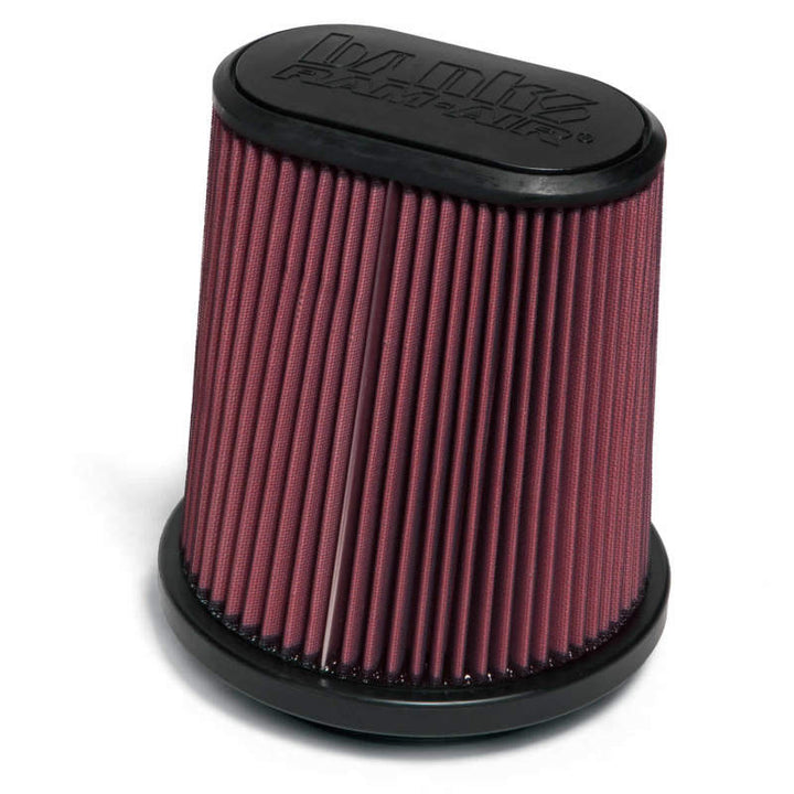 Banks Power 15-17 Ford F-150 EcoBoost 2.7L/3.5L Ram-Air Intake System - Bull Strap