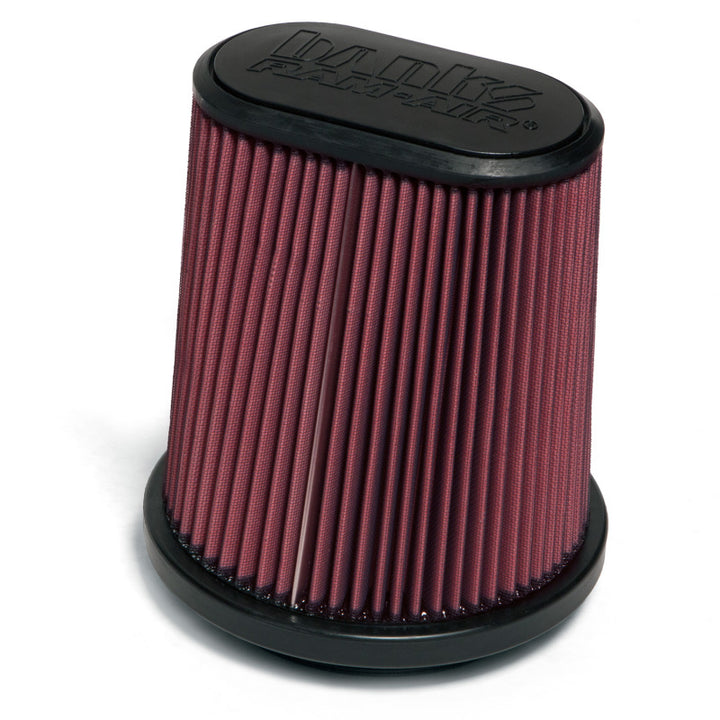 Banks Power 15-17 Ford F-150 EcoBoost 2.7L/3.5L Ram-Air Intake System - Bull Strap
