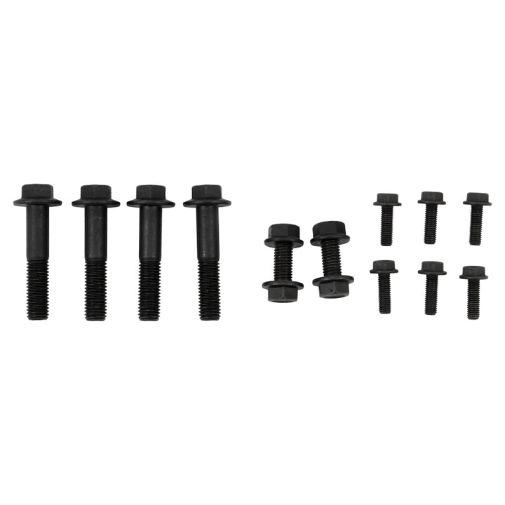 Belltech 2021+ Ford Bronco Sport 1.5in Lift Kit - Bull Strap