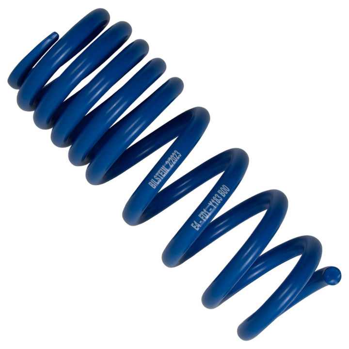 Bilstein B14 (PSS) 13-15 BMW 320xi / 13-04 328xi / 15 435xi Front & Rear Performance Suspension Sys - Bull Strap