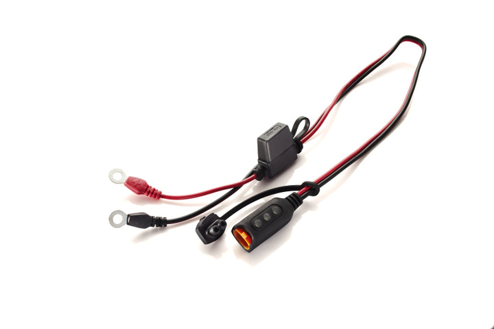 CTEK Accessory - Comfort Indicator Eyelet M6 - Bull Strap