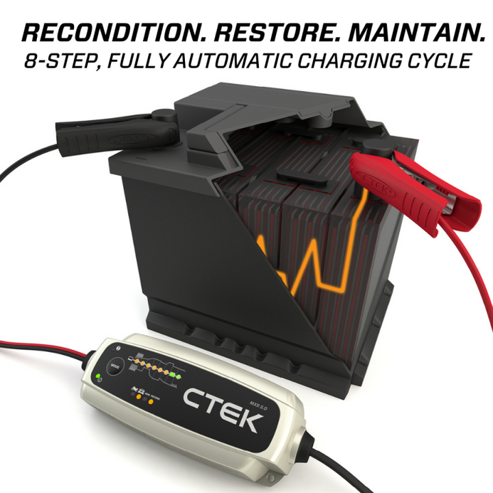 CTEK Battery Charger - MXS 5.0 4.3 Amp 12 Volt - Bull Strap