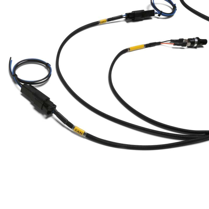 Chase Bays Dual Fan Relay Wiring Harness w/180 Deg F Thermoswitch - Bull Strap