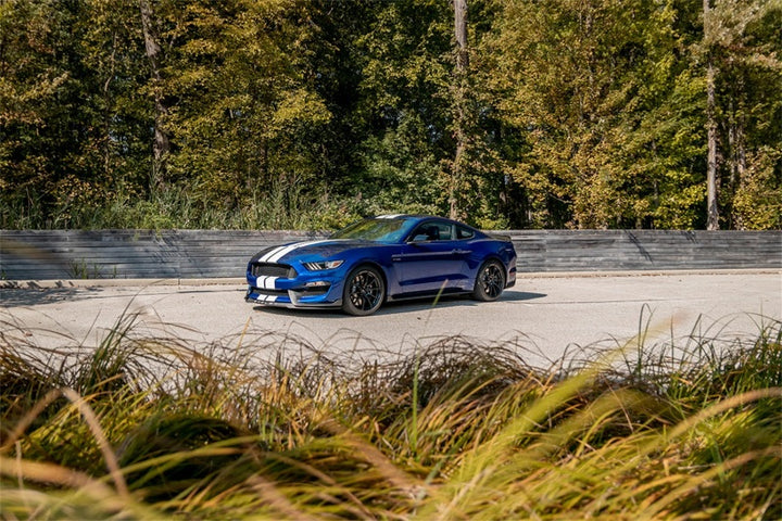 Corsa 2015-2020 Ford Mustang GT350/R 5.2L V8 Dual Rear Cat-Back- Stainless Dual Rear Exit - Bull Strap