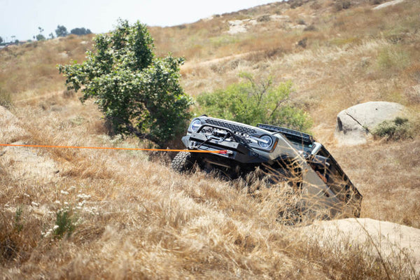 DV8 Offroad Elite Series D-Ring Shackles - Pair (Black) - Bull Strap