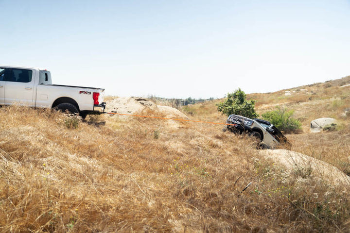 DV8 Offroad Elite Series D-Ring Shackles - Pair (Black) - Bull Strap