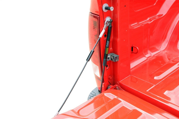 Deezee 09-23 Dodge/Ram Ram Tailgate Assist Shock - Bull Strap