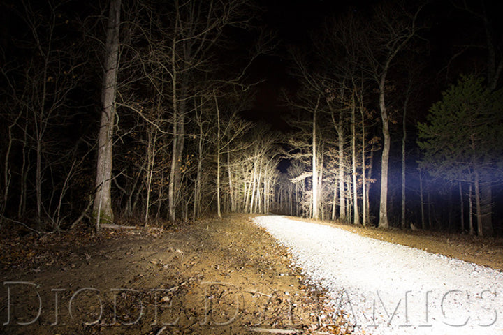 Diode Dynamics 18 In LED Light Bar Single Row Straight Clear Driving Each Stage Series - Bull Strap