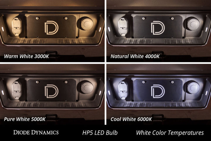 Diode Dynamics 194 LED Bulb HP5 LED - Cool - White (Pair) - Bull Strap