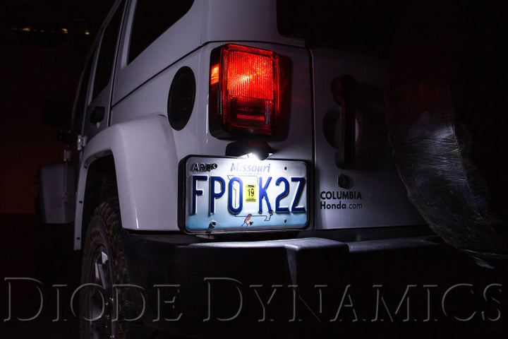 Diode Dynamics 194 LED Bulb HP5 LED - Cool - White (Single) - Bull Strap