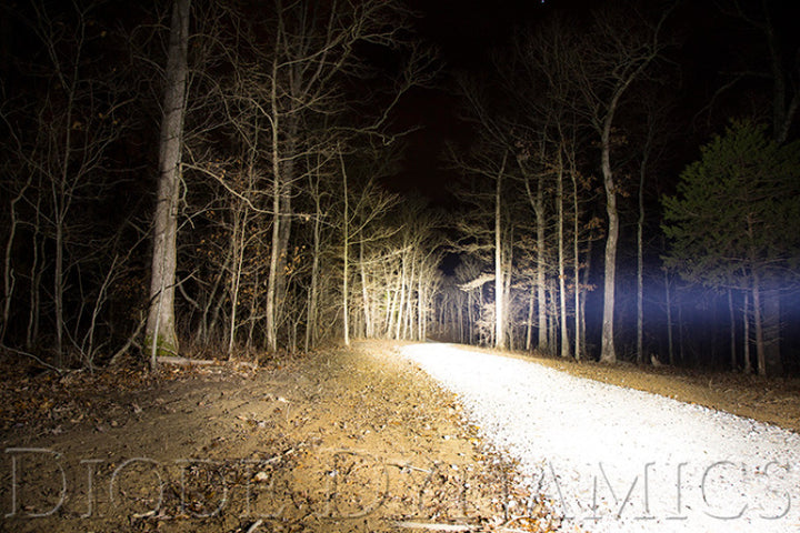 Diode Dynamics 30 In LED Light Bar Single Row Straight Clear Combo Each Stage Series - Bull Strap