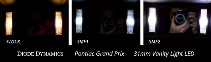 Diode Dynamics 31mm HP6 LED Bulb LED - Cool - White (Pair) - Bull Strap