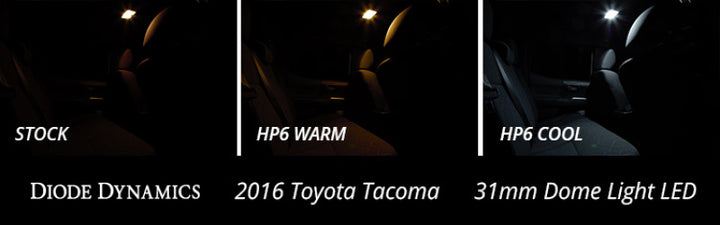 Diode Dynamics 31mm SMF2 LED Bulb - Cool - White (Single) - Bull Strap