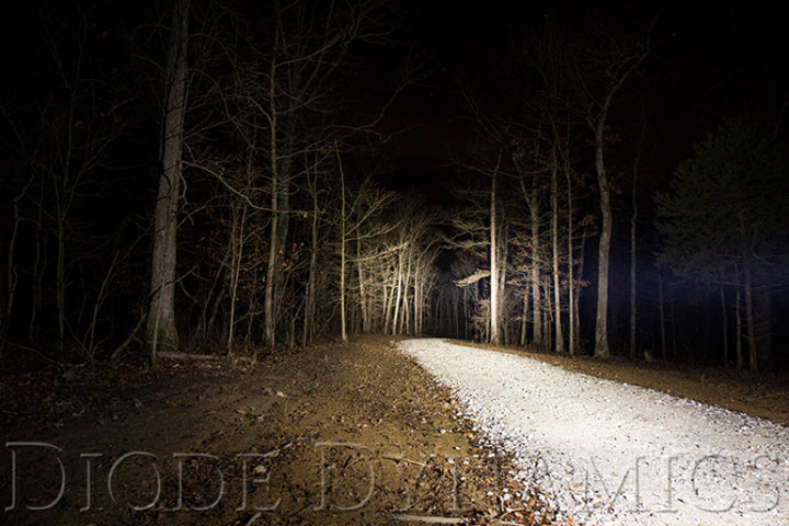 Diode Dynamics 6 In LED Light Bar Single Row Straight SS6 - White Wide Light Bar (Pair) - Bull Strap