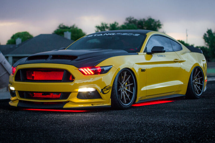 Diode Dynamics RGBW Multicolor Underglow LED Kit - Bull Strap