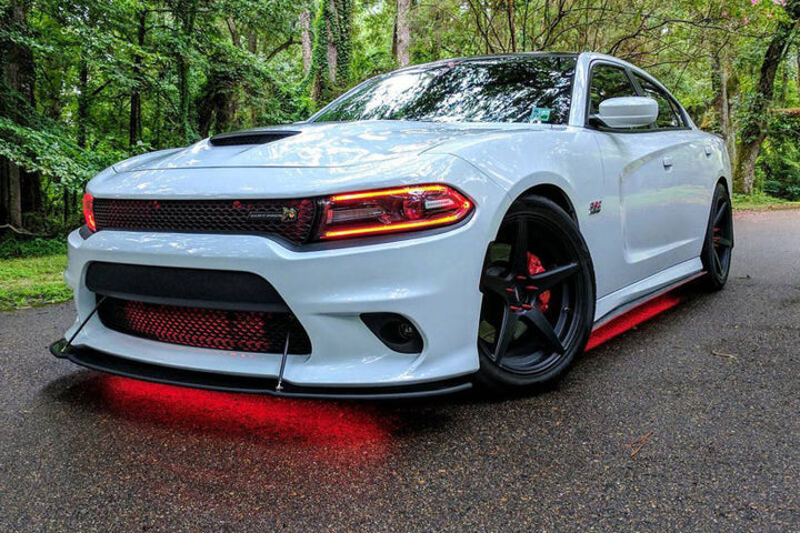 Diode Dynamics RGBW Multicolor Underglow LED Kit - Bull Strap