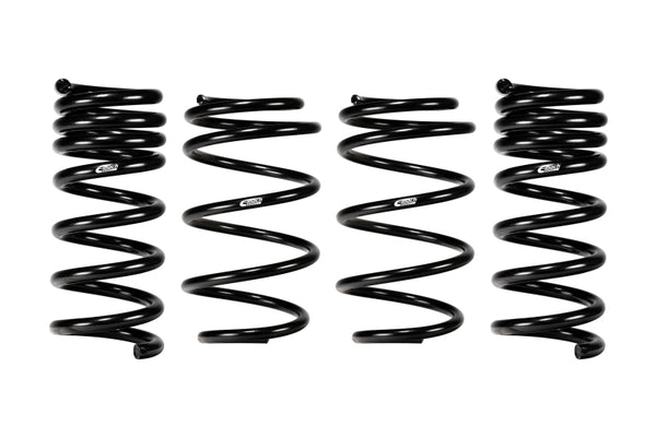 Eibach 24+ Ford Mustang GT Coupe 5.0L RWD S650 Performance Pack w/ Magneride - Bull Strap