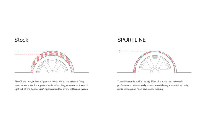 Eibach Sportline Springs for 13-16 BMW F30 320i - Bull Strap