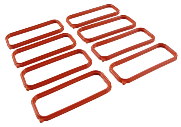 FAST Replacement Intake Port Seals - Bull Strap
