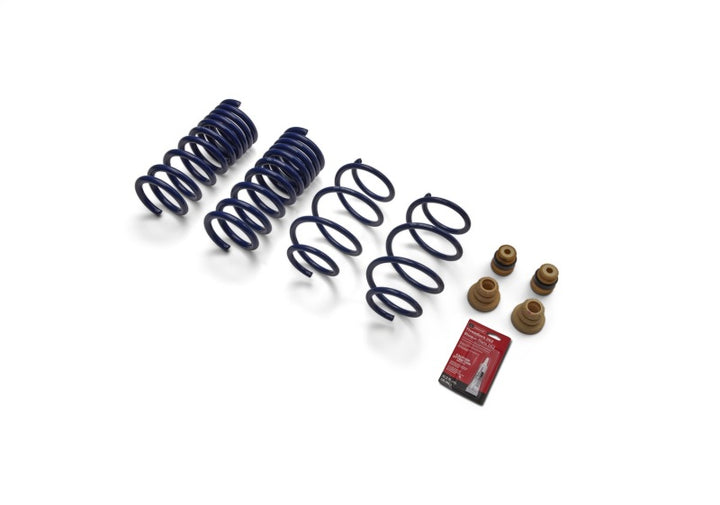Ford Racing 15-19 Mustang (w/o MagneRide) Street Lowering Spring Kit - Bull Strap