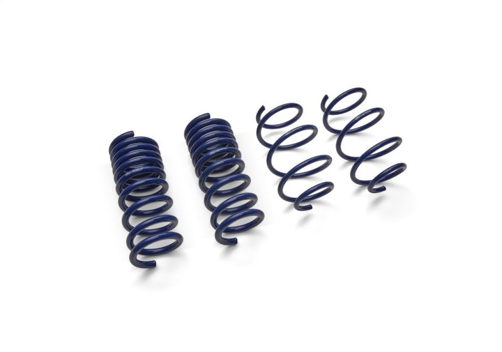 Ford Racing 15-19 Mustang (w/o MagneRide) Street Lowering Spring Kit - Bull Strap