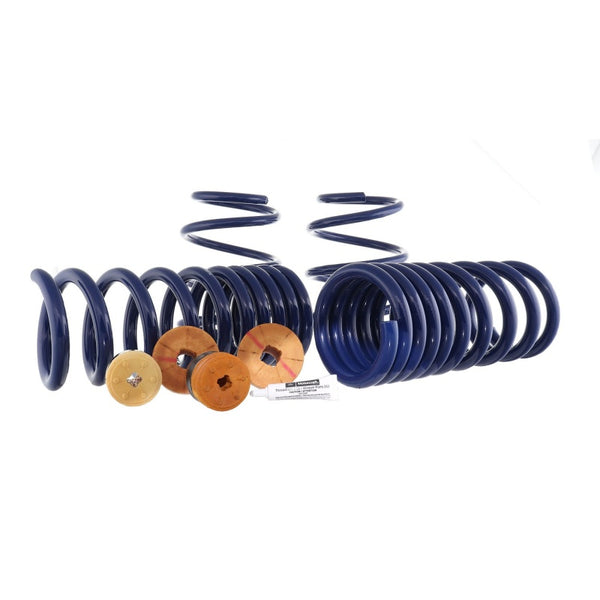 Ford Racing 15-23 Mustang GT/2.3L EcoBoost Fastback Track Lowering Spring Kit (Excl MagneRide Susp) - Bull Strap