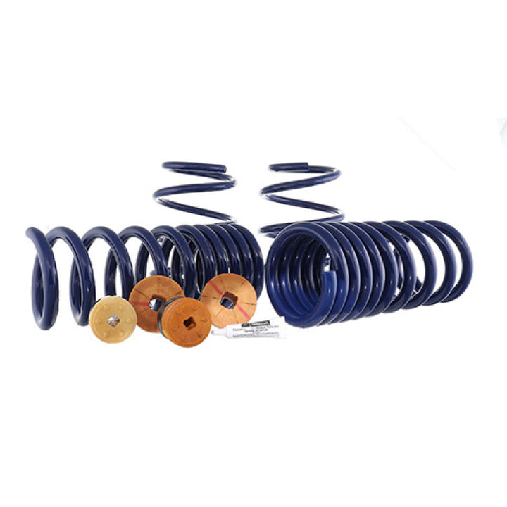 Ford Racing 15-23 Mustang GT/2.3L EcoBoost Fastback Track Lowering Spring Kit (Excl MagneRide Susp) - Bull Strap