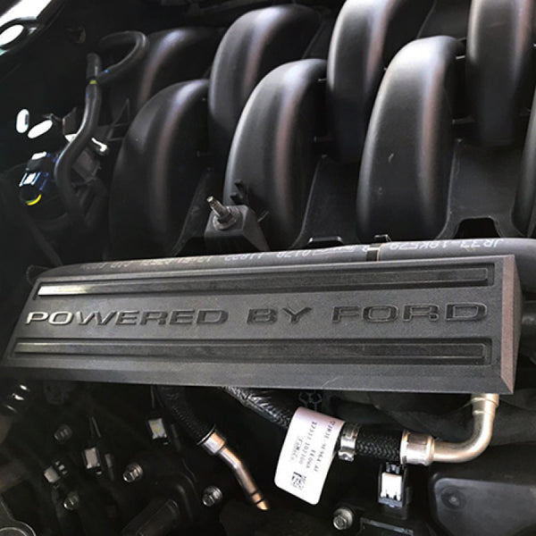 Ford Racing 18-19 Coyote 5.0L TiVCT Intake Manifold Dress Up Kit - Bull Strap