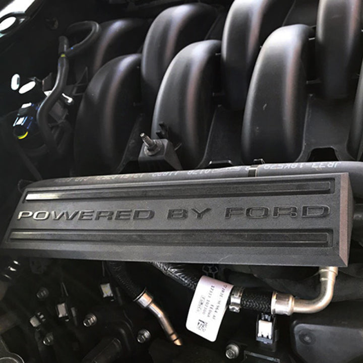 Ford Racing 18-19 Coyote 5.0L TiVCT Intake Manifold Dress Up Kit - Bull Strap