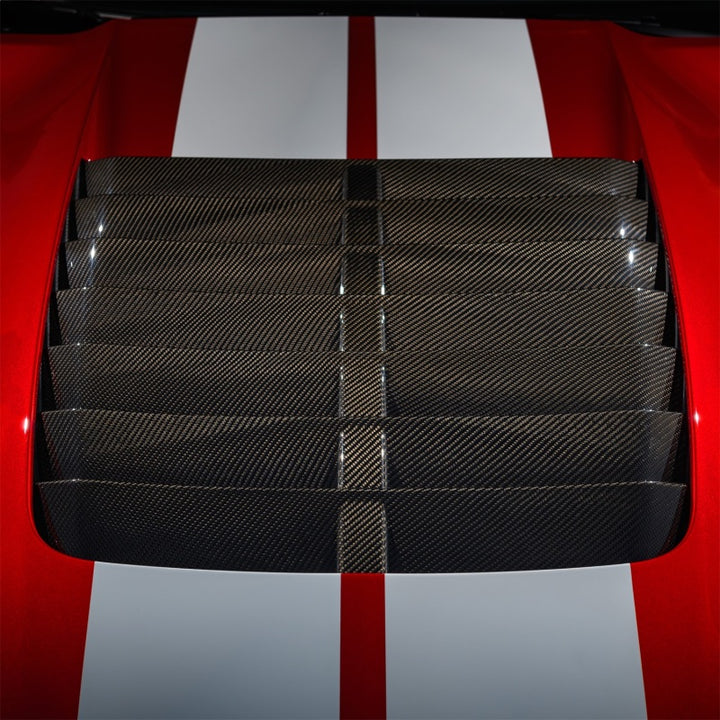 Ford Racing 20-22 Mustang GT500 Carbon Fiber Hood Vent Kit - Bull Strap