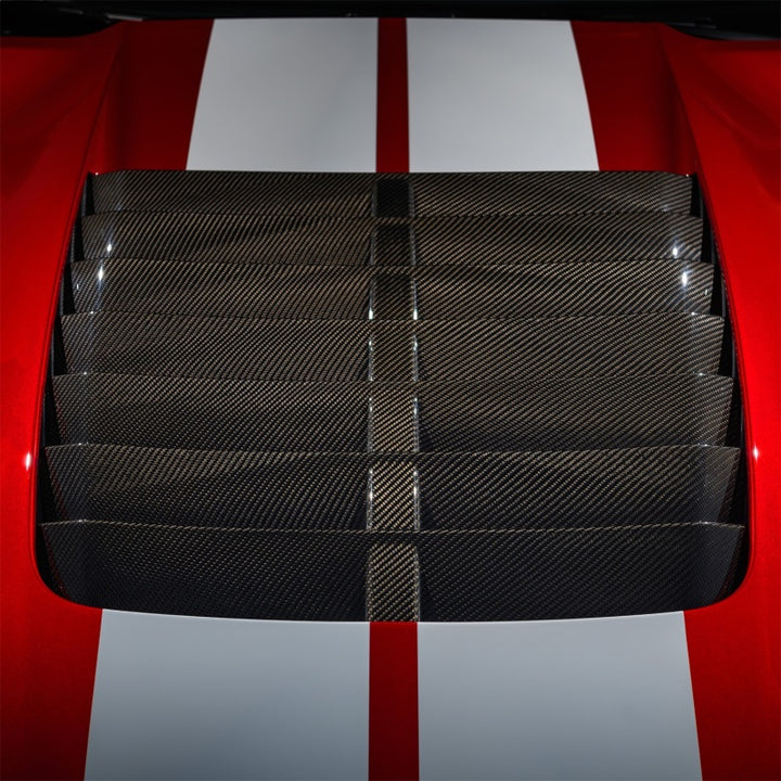 Ford Racing 20-22 Mustang GT500 Carbon Fiber Hood Vent Kit - Bull Strap