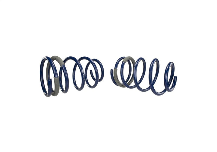 Ford Racing 2005-2014 Mustang GT 1.0in. Track Lowering Springs - Bull Strap