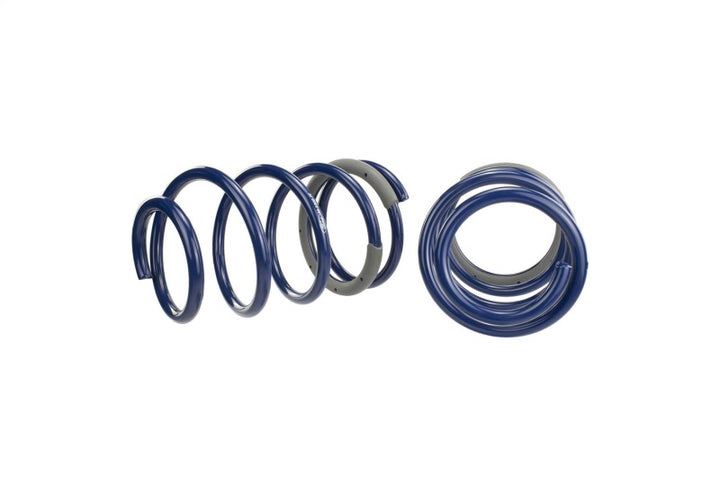 Ford Racing 2005-2014 Mustang GT 1.0in. Track Lowering Springs - Bull Strap