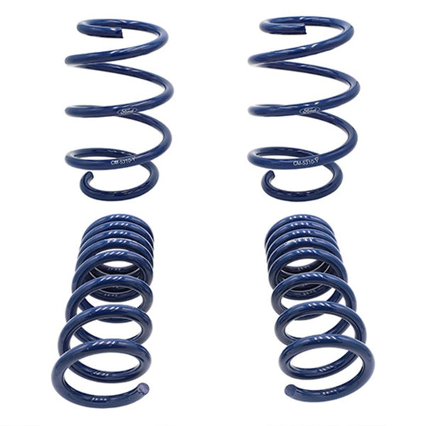 Ford Racing 2015-2017 Mustang GT350 Lowering Springs - Bull Strap