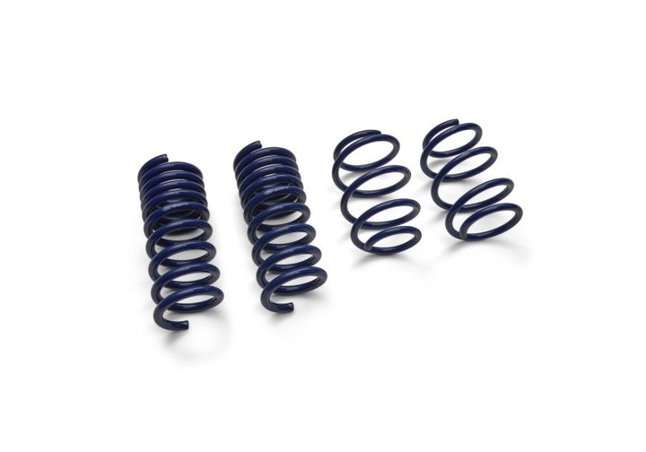 Ford Racing 2024 Mustang GT Coupe (w/Passive Suspension) Track Lowering Spring Kit - Bull Strap