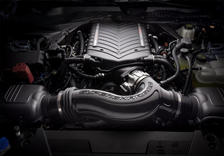 Ford Racing 2024+ Mustang GT/Dark Horse 5.0L Supercharger Kit - Bull Strap