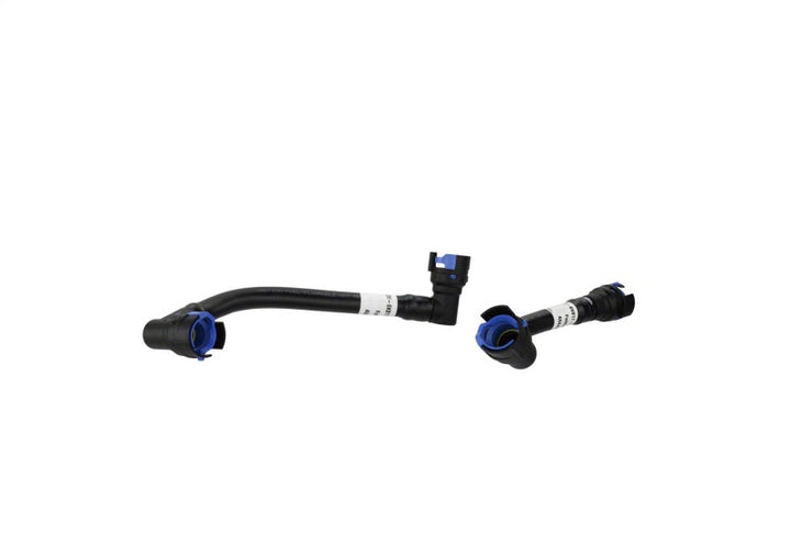 Ford Racing 21-24 F-150 3.5L EcoBoost Air Oil Separator Kit - Bull Strap