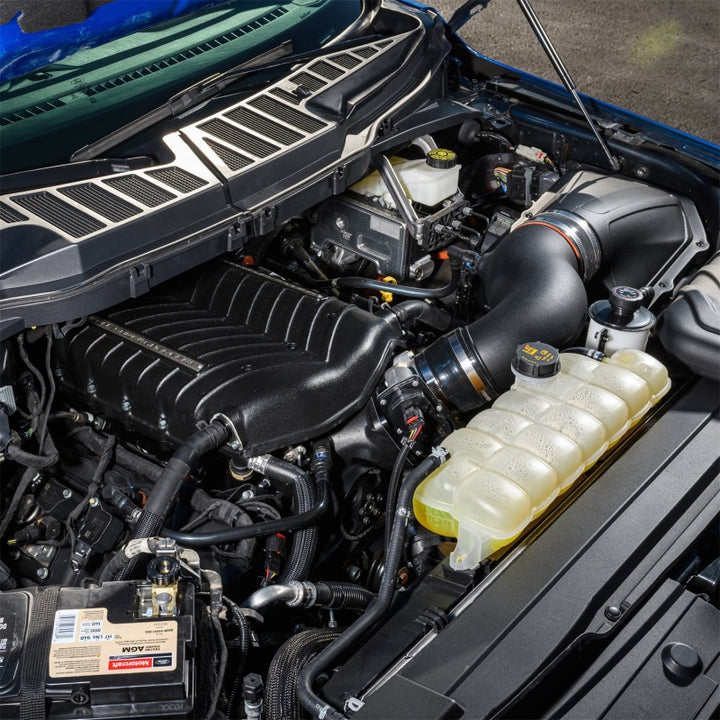 Ford Racing 21-25 Ford F-150 5.0L Supercharger Kit - Bull Strap