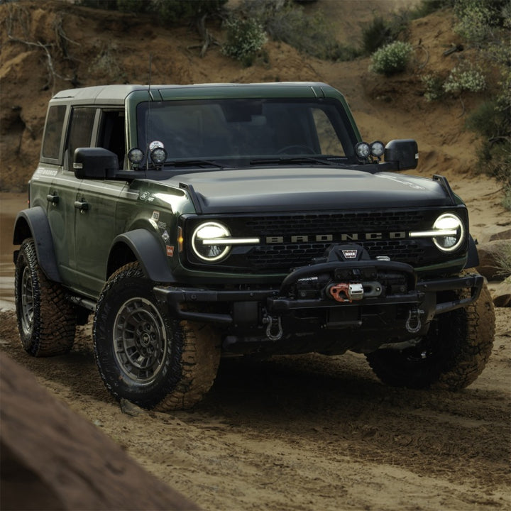 Ford Racing Epic D-Ring Shackle - Bull Strap