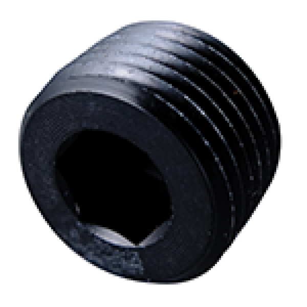 Fragola 1/8 NPT Pipe Plug- Internal Black - Bull Strap